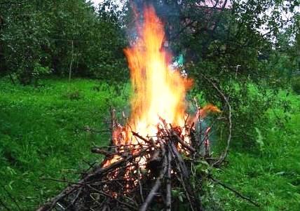 Кора з дерев спалюється разом з іншим садовим сміттям