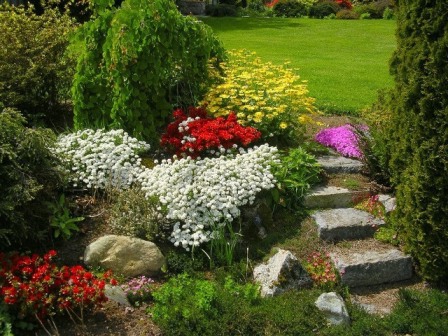 Красивий альпінарій з садовими квітами