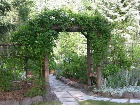Оригінальна дерев'яна арка для рослин, розташована на дачі