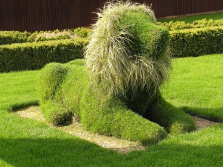 Не знаєте, як ще декорувати газон? Використовуйте ексклюзивні ідеї і навіть топіари