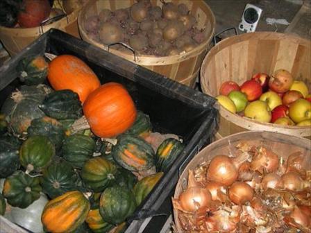 Вибираємо найкраще місце для зберігання овочів і фруктів на дачі