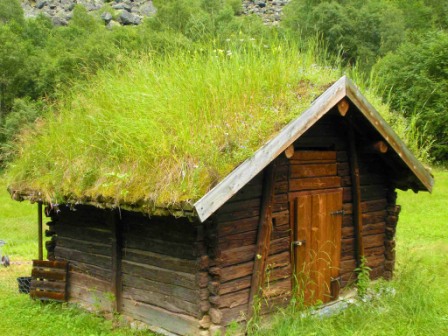Зелена дах своїми руками: озеленення даху дачного будинку