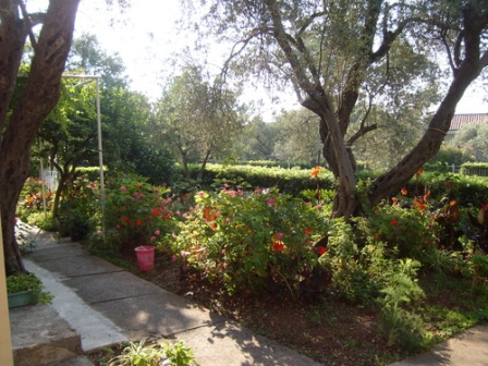Слід пам'ятати про правильному формуванні саду, меж квітників, газонів і зон відпочинку