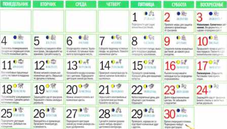 Не варто завжди орієнтуватися на календар, слідкуйте за погодою при посадці!