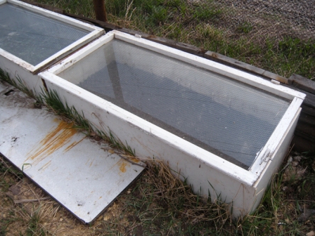 Парник для вирощування розсади з підручних засобів (старі холодильники і вікна)
