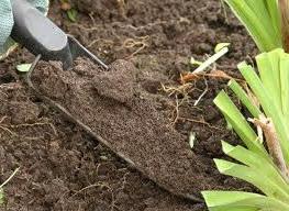 Як поліпшити ґрунт