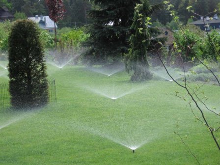 Правильний полив газонів з використанням автоматичних систем поливу