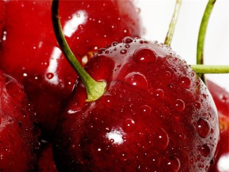 Любите великі і наливні ягоди вишні? Вибирайте позние сорту
