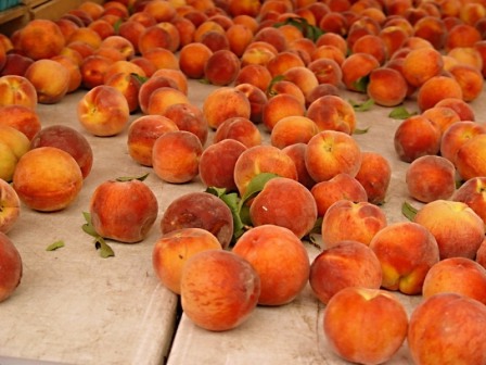 На сорти персика слід звернути особливу увагу, адже від правильного вибору сорту і буде залежати смак плоду і врожайність дерева
