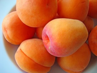 Іскра - сорт абрикоса, який показує високу врожайність середньорослих і дуже смачних плодів