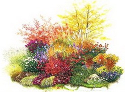 квіти восени - краса вашого саду