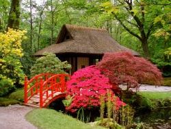 Фото японського саду