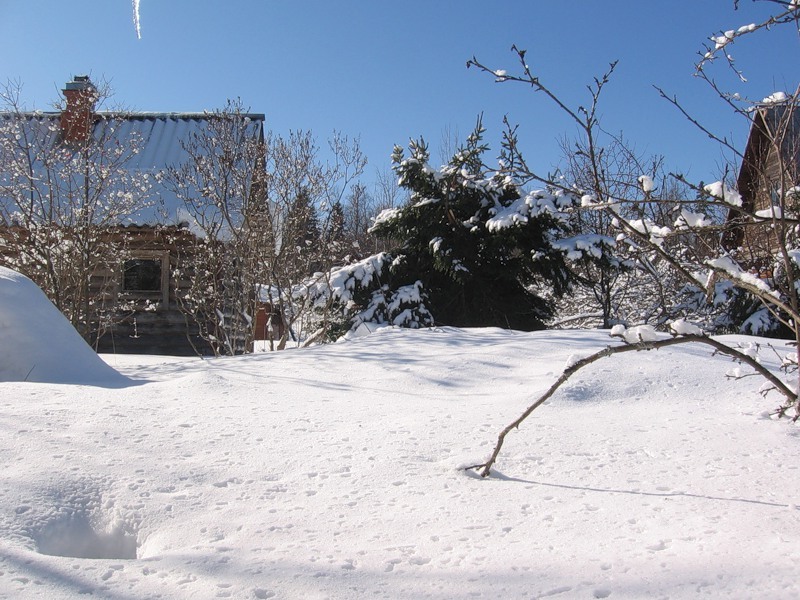 Якщо немає можливості постійно прибирати сніг на дачній території, використовуйте спеціальні реагенти