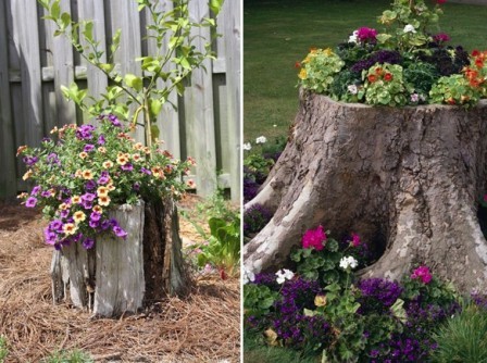 Декорування пнів живими рослинами - відмінний спосіб гармонійно оформити сад на дачі