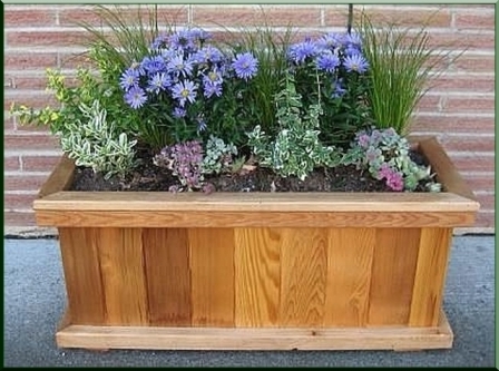 Дерев'яні ящики та контейнери для квітів в саду