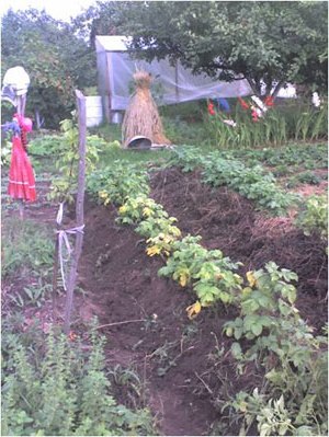 Трикутні насипні городи для вирощування багатьох видів овочів