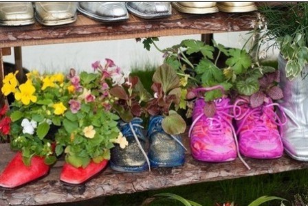 Продовжуємо висаджувати декоративні рослини у старому взутті