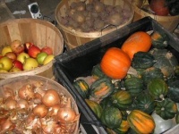 Де зберігати овочі і фрукти на дачі