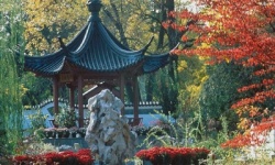 Сад в китайському стилі: ландшафтне втілення філософії Сходу 
